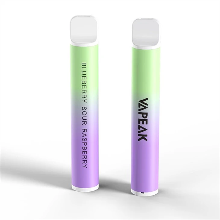 Disposable Vapes Bars 600 Puffs
